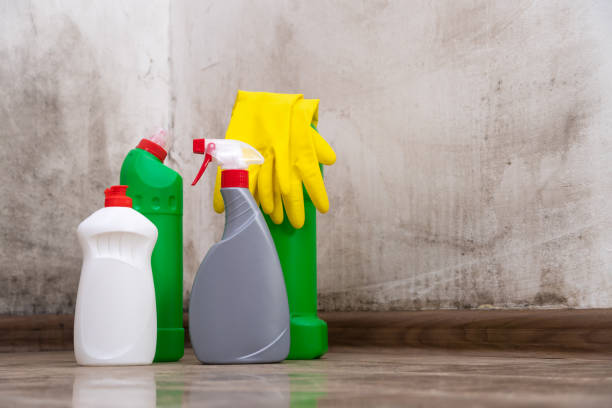 Best Biohazard Mold Removal  in Fort Meade, MD